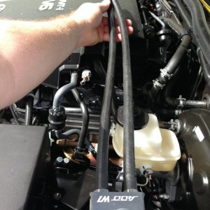 Oil Can Hoses out straight