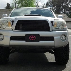 TRD chic build