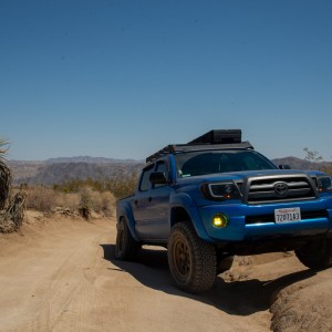 2009 TACOMA