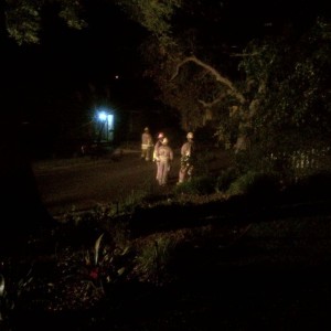 100 year old oak decided to die. Right on the powerlines