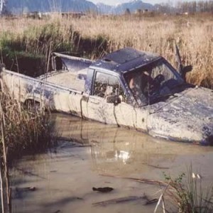 83 pickup