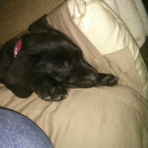 New member,Kiley.