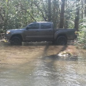 The Taco