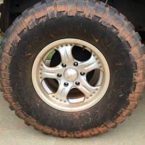 liveFN4zlx