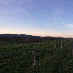 IMG_002618