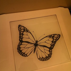 Squished a butterfly in between the glass