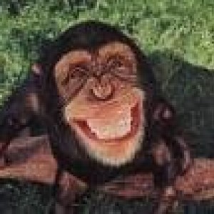 monkey1