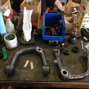 upper_arms
