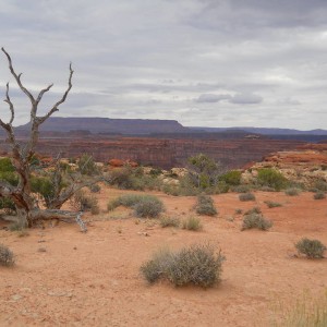 DSCN1649