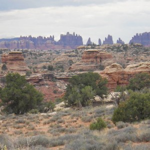 DSCN1655