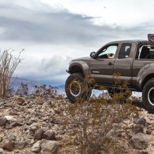 37's