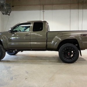 tacoma1175