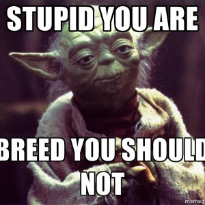 Yoda_stupid_you_are