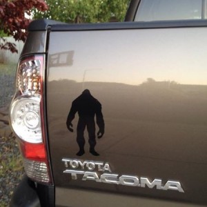'Squatch