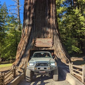 2002 tacoma