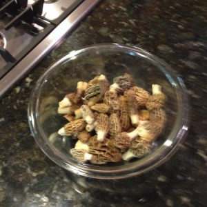 Morels!