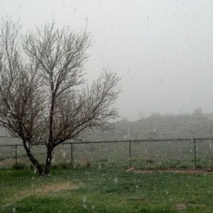 Snow!