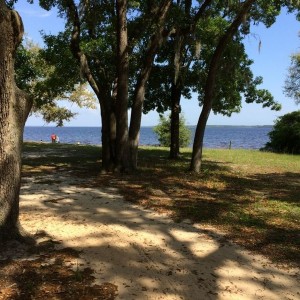 At the park.