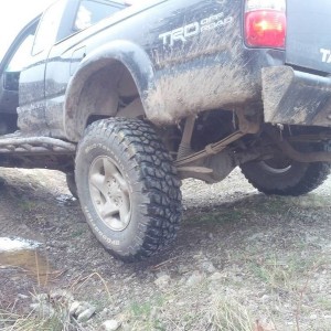 Flexing/Stuffing