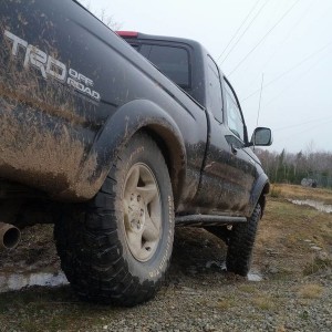 Flexing/Stuffing
