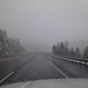 :rant: what happened to spring?