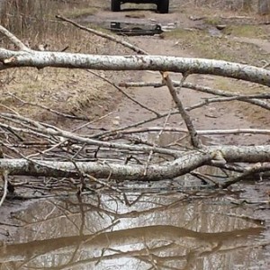 Wisconsin logging trails