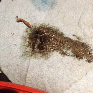 photo_3423
