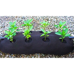 GardenSoxxPlanters