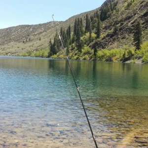 Convict Lake was amazing today. Only pulled 2 brown and 1 rainbow trout tho