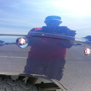 Something to fill the holes from the flares. Look like the mushrooms from M