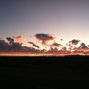 IMG_036317