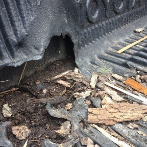 Horticulture in the truck bed. :D