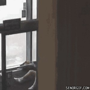 hilarious_drunken_moments_05