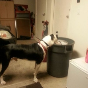 He wants our ice for our keg