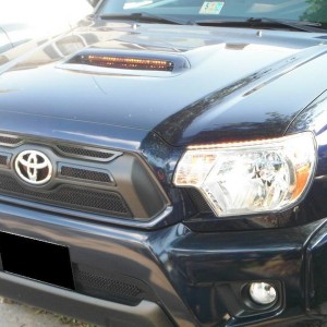 Daytime_View_of_Grille_and_Light
