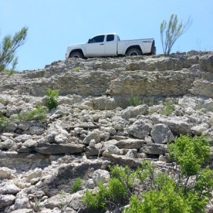 Taco on the Rocks