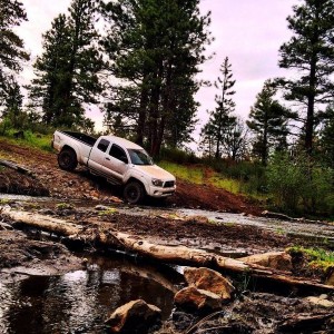 Coming back threw the creek