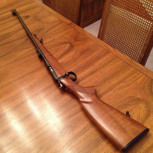CZ 452