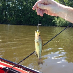 Big catch today.