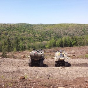 Checked out a local logging job yesterday with my friend