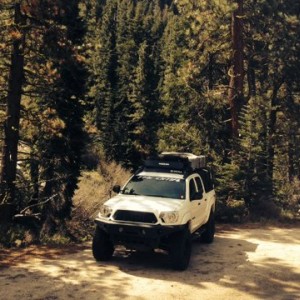 tacoma 2014 white trd off road