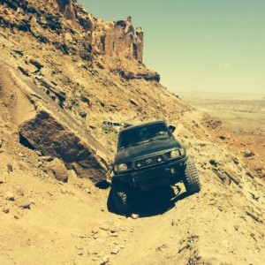 Still wheeling bitches
