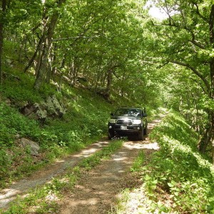 Forest Service Road Riding