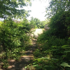 Abandoned Overpass III