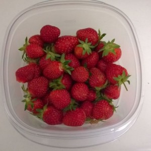 Strawberries from the garden