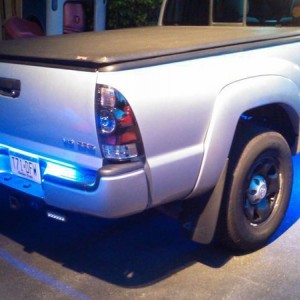 LEDs