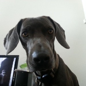 What you taking about willis
