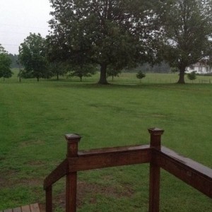 image7663