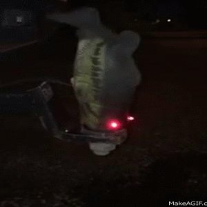 Hitch Critter