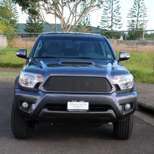 Plasti Dipped lower grill